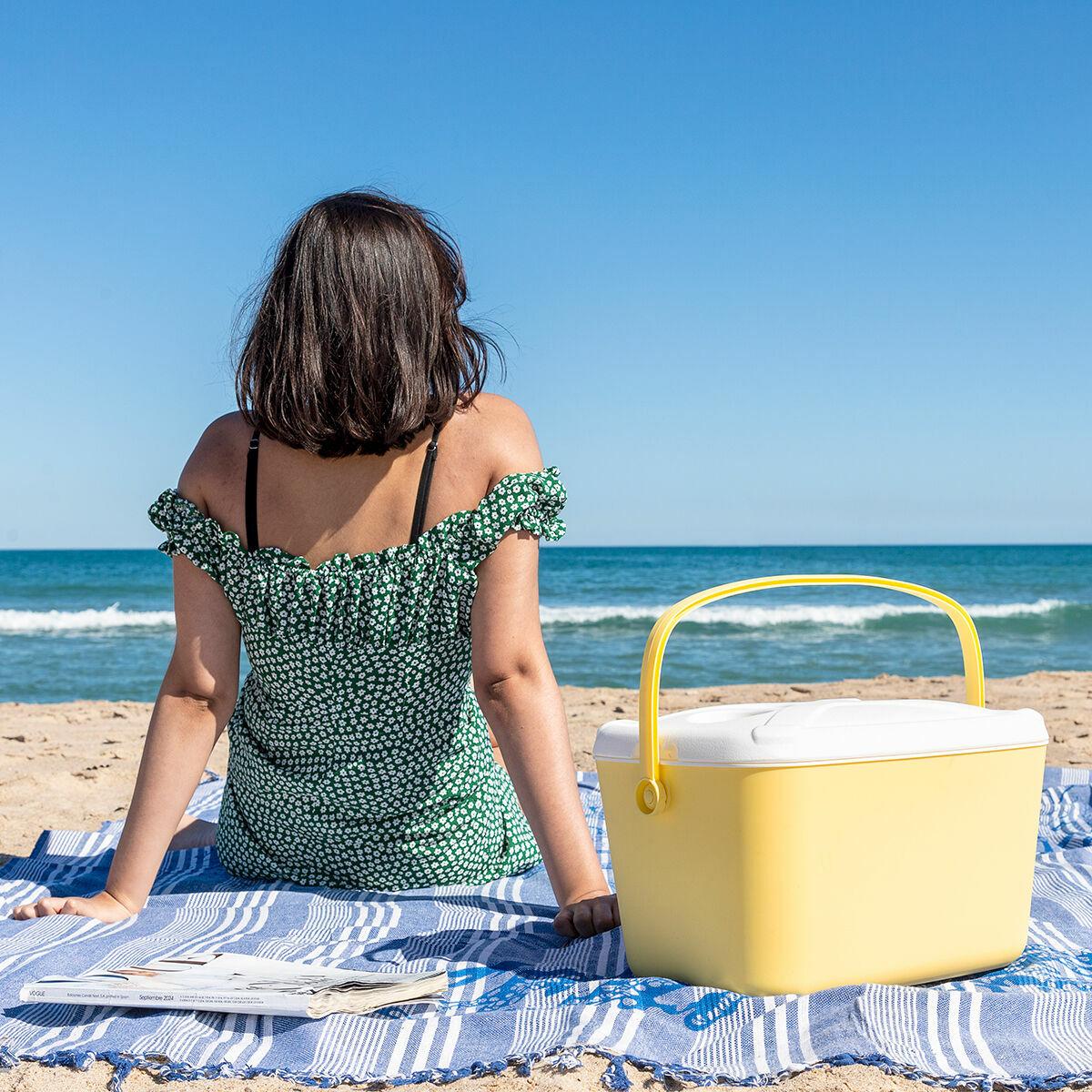 Draagbare harde koelbox Lilty InnovaGoods 15 L